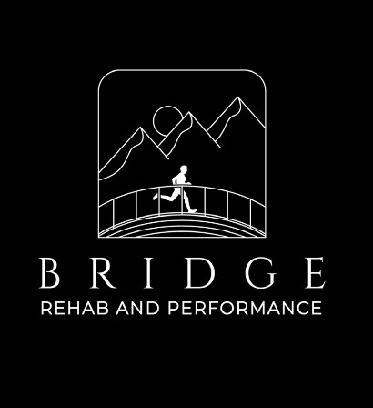 Bridge therapeutics logo