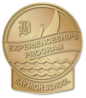 Experienceship Program Pin