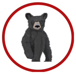 Blackmore Bears
