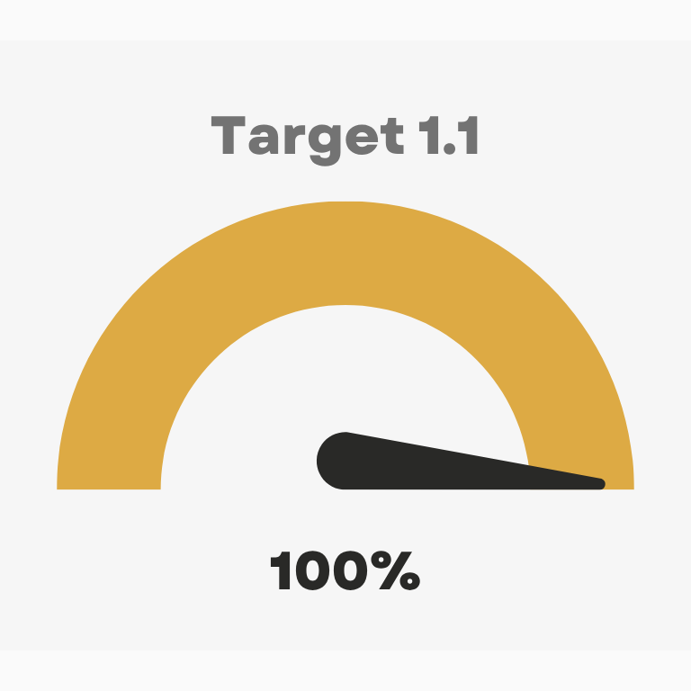 Target 1.1 100%