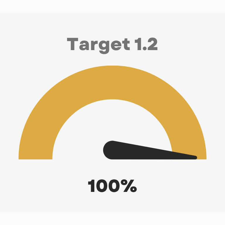 Target 1.2 100%