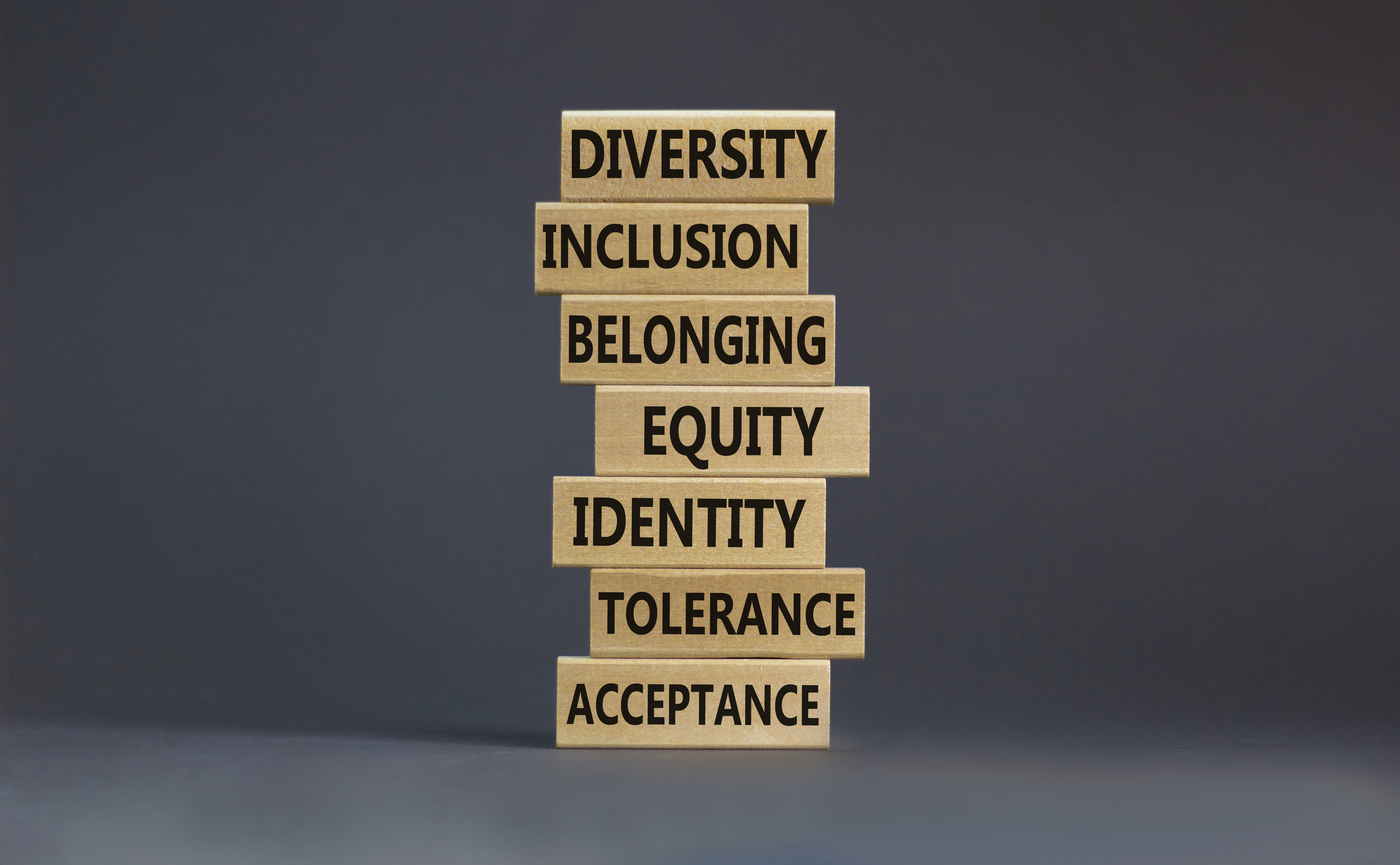 diversity equity photo