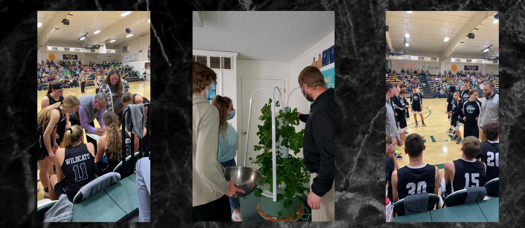 Collage of high schoo hydroponics lab, students playing basketball