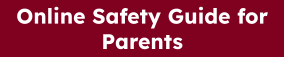 Online Safety Guide for Parents