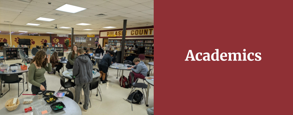 academics