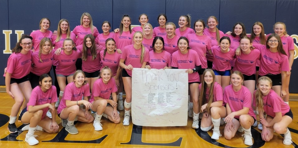 volleyball team wearing "Dig Pink" shirts