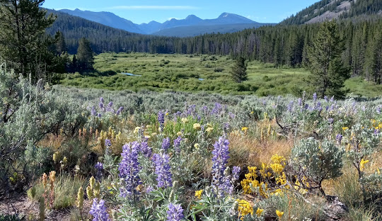 Pioneer Mountains