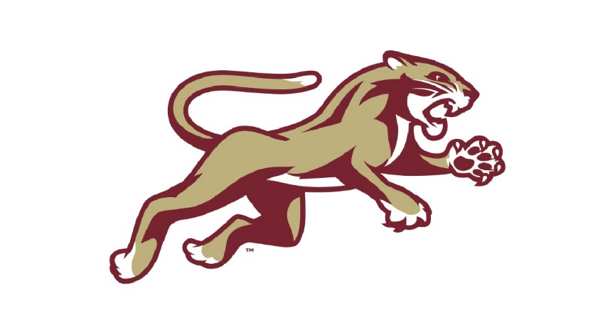 Picture of a cougar with school colors of maroon and gold