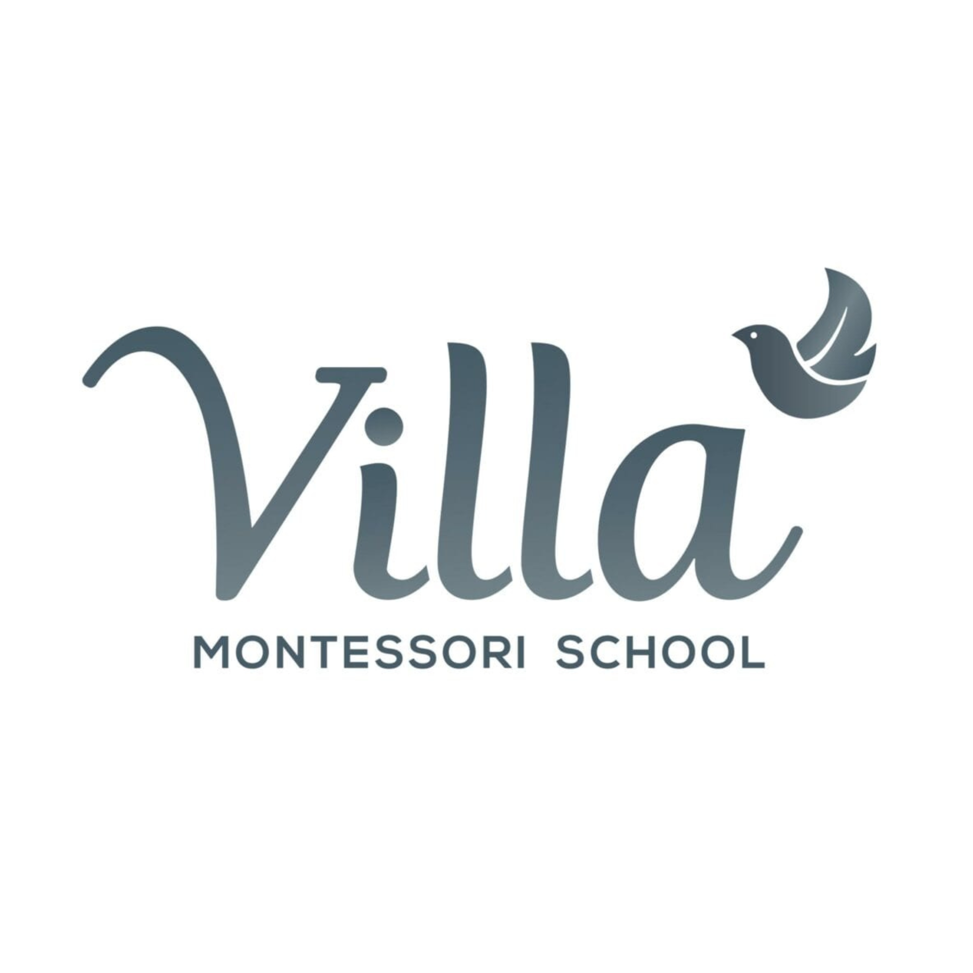 Vialla Montessori School