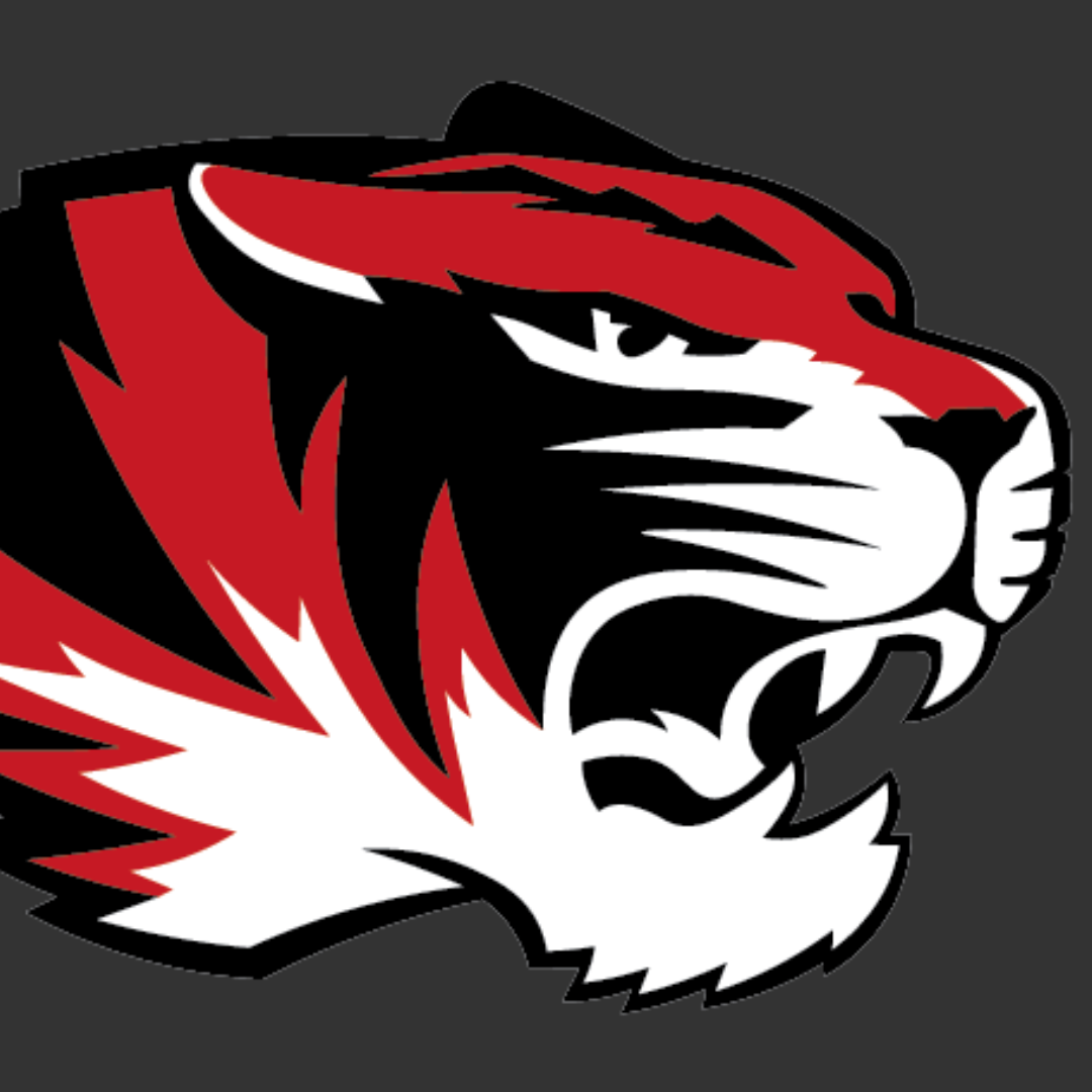 Tiger Head Logo