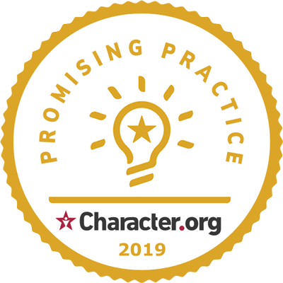 Promising Practice Badge