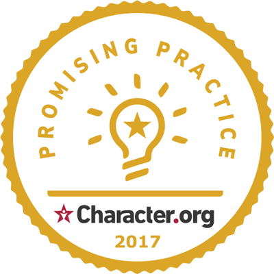 Promising Practice Badge