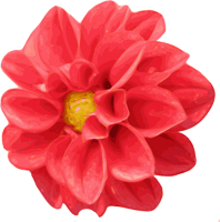 flower_medium