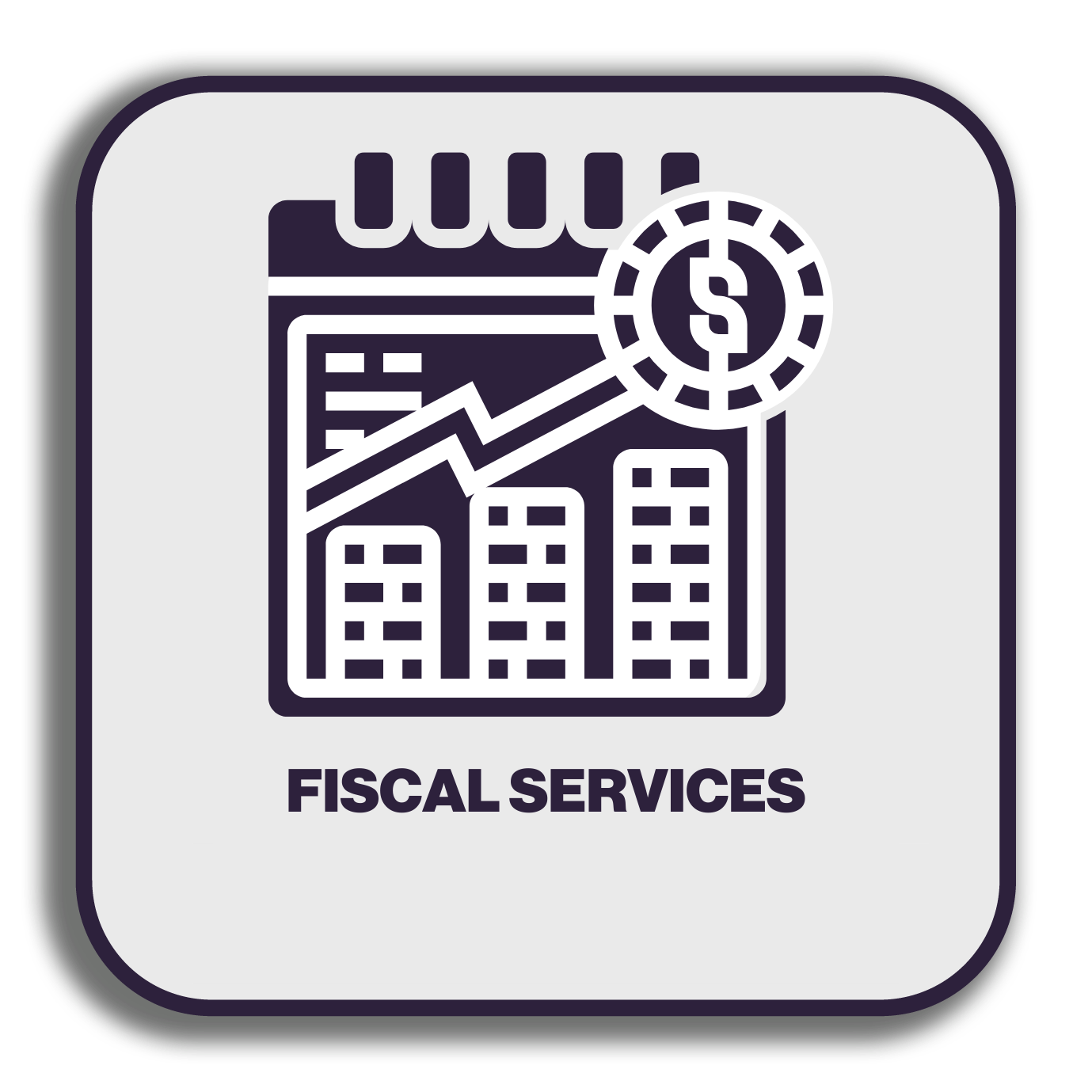 fiscal services