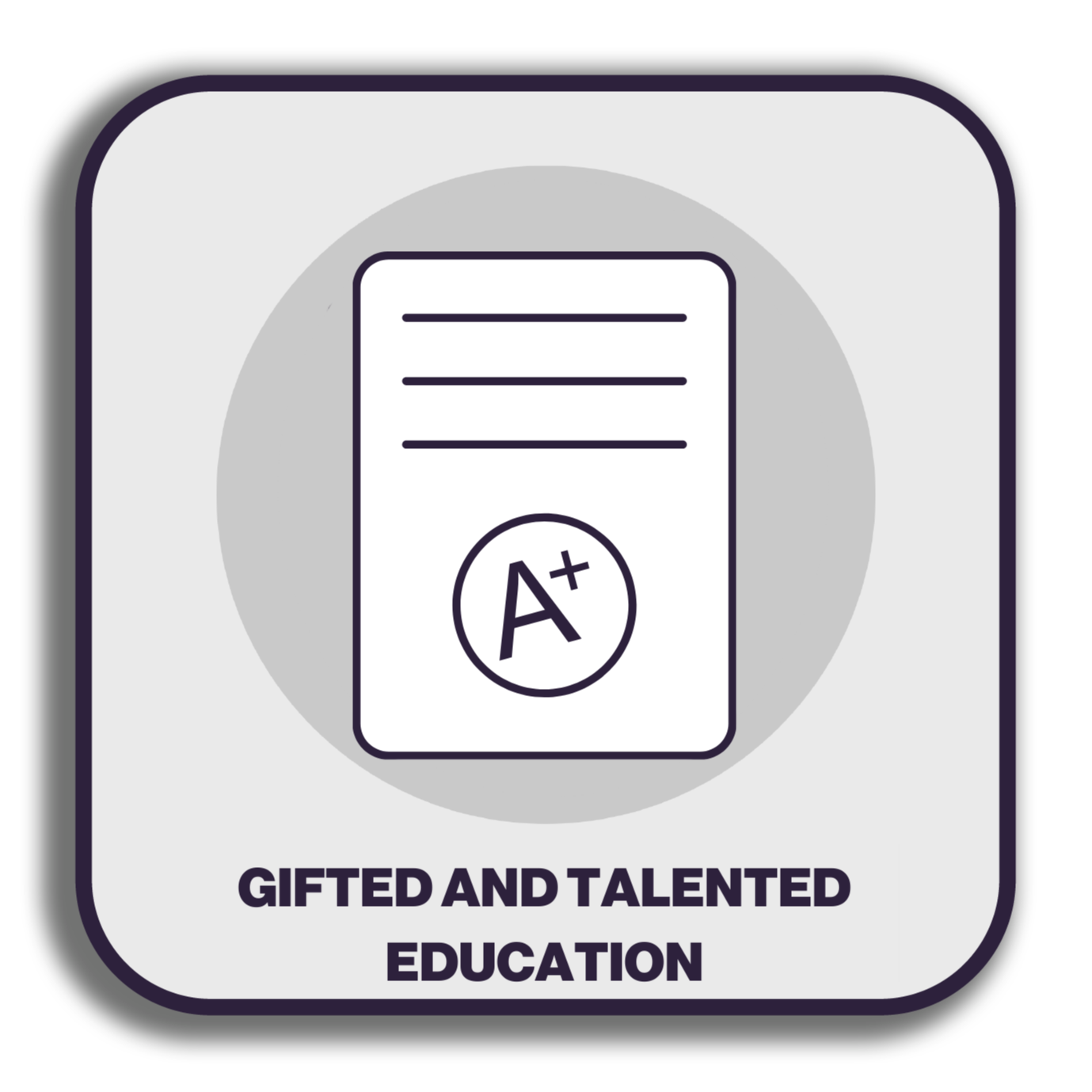 Gifted and Talented  Education