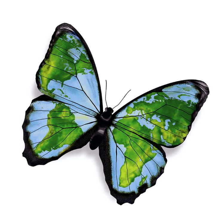 Cambridge Primary Global Perspectives Logo