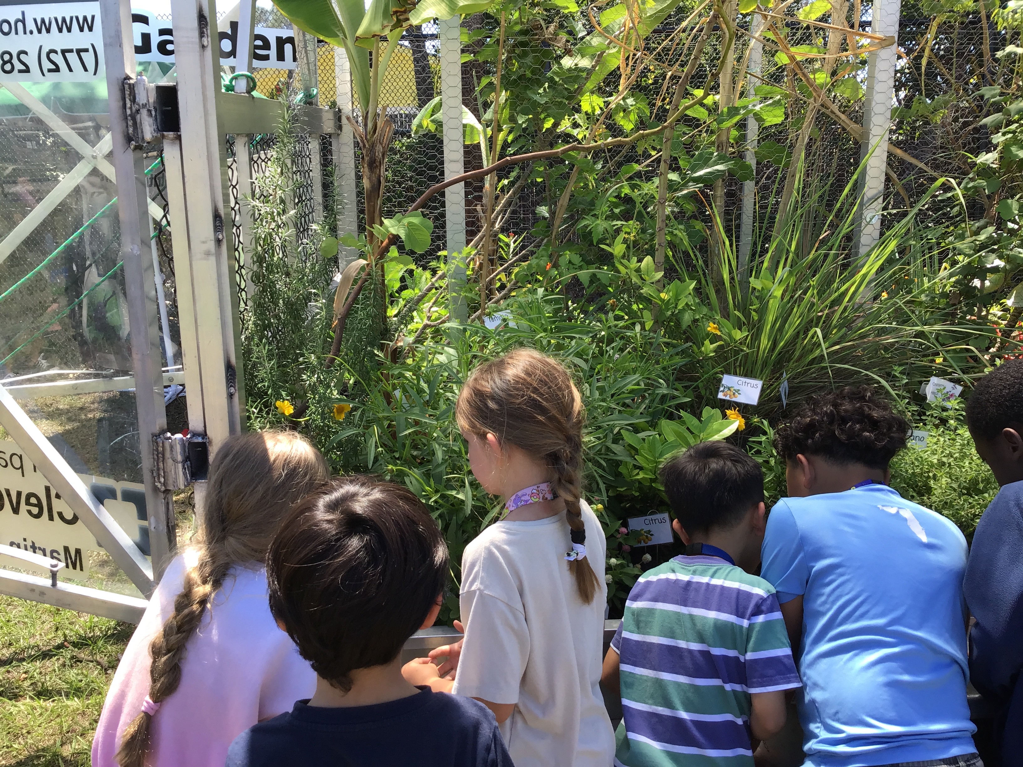  House of Hope’s Traveling Garden