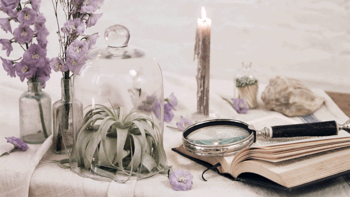 Cinemagraph book, butterfly in jar and art