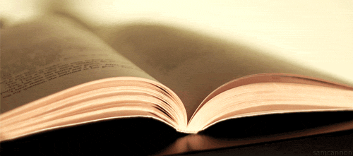 Book opening pages image