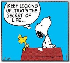 snoopy