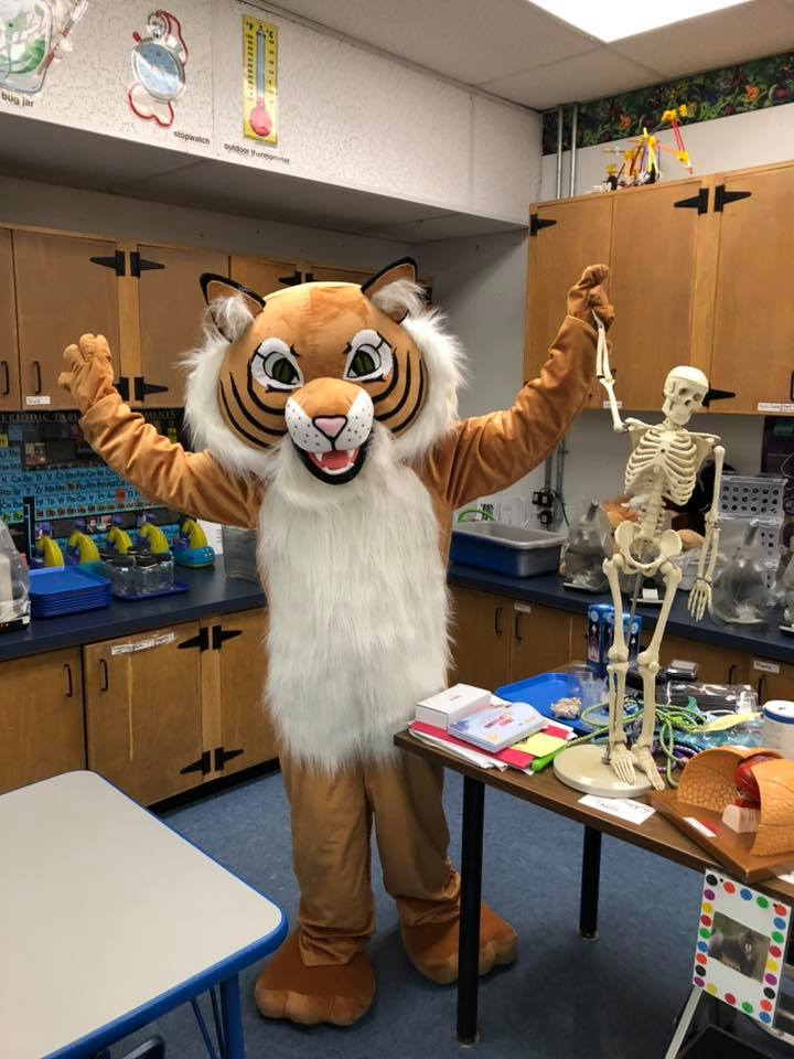 Wildcat in science lab