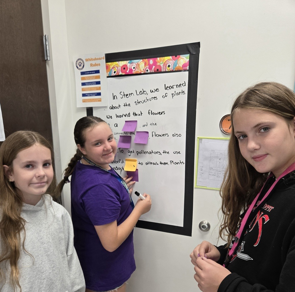 Stem Lab