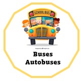 Buses