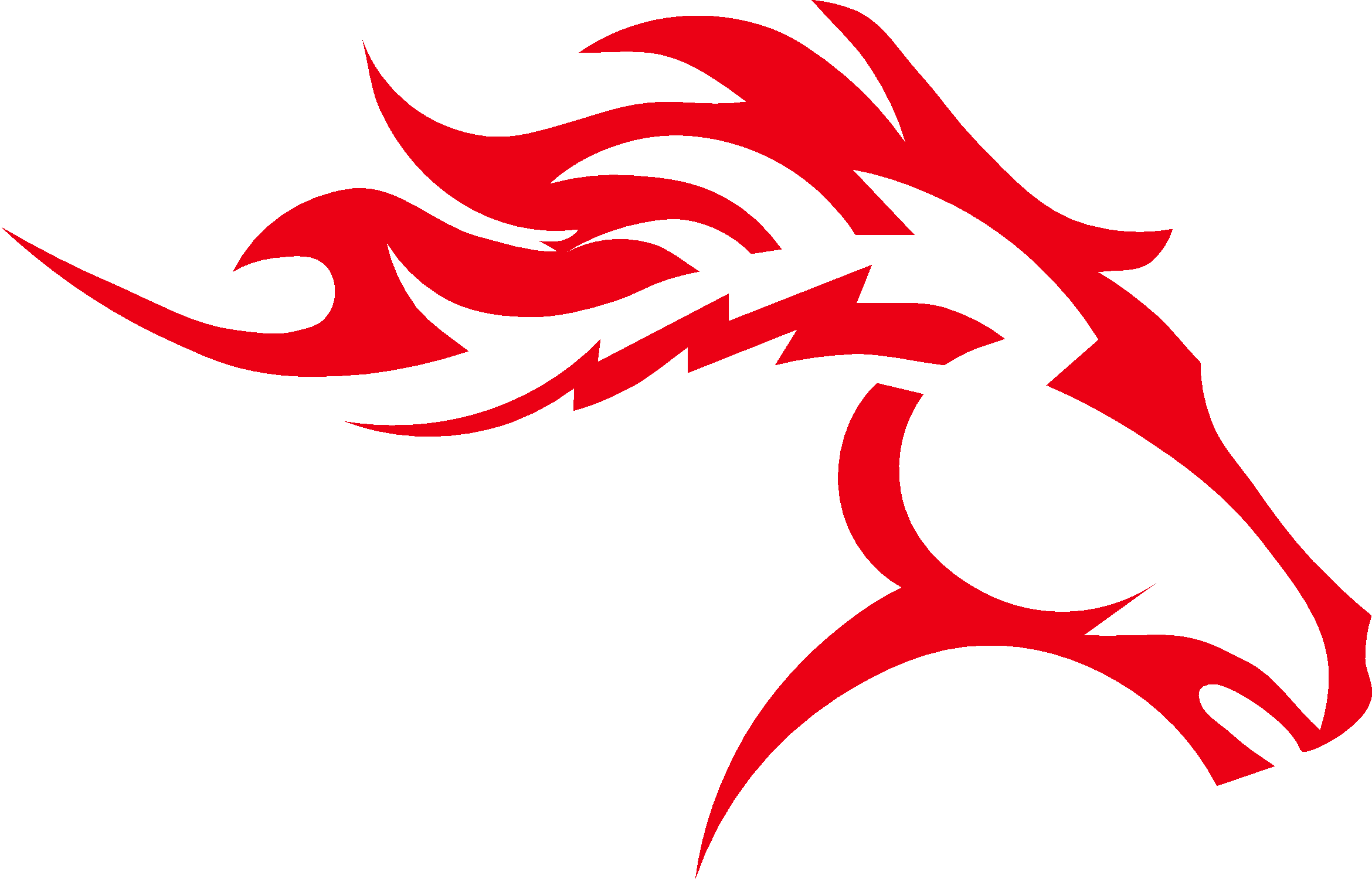 Home | Home of the Chargers