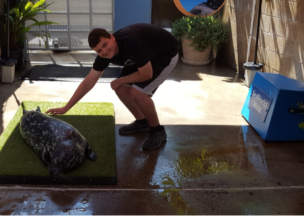 Mr. Saxon petting a seal