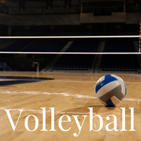 Volleyball