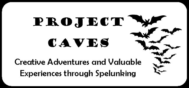 Project CAVES Creative Adventures and Valuable Experiences through Spelunking logo with bats