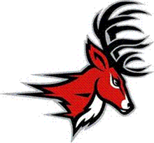 Deer Antlers