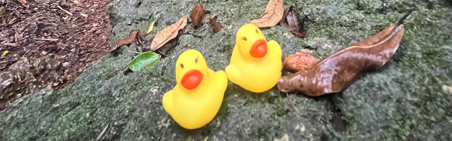 Ducky