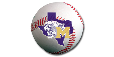 Baseball with the School logo