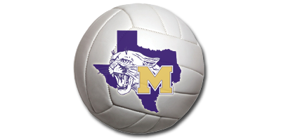 Volleyball with School logo