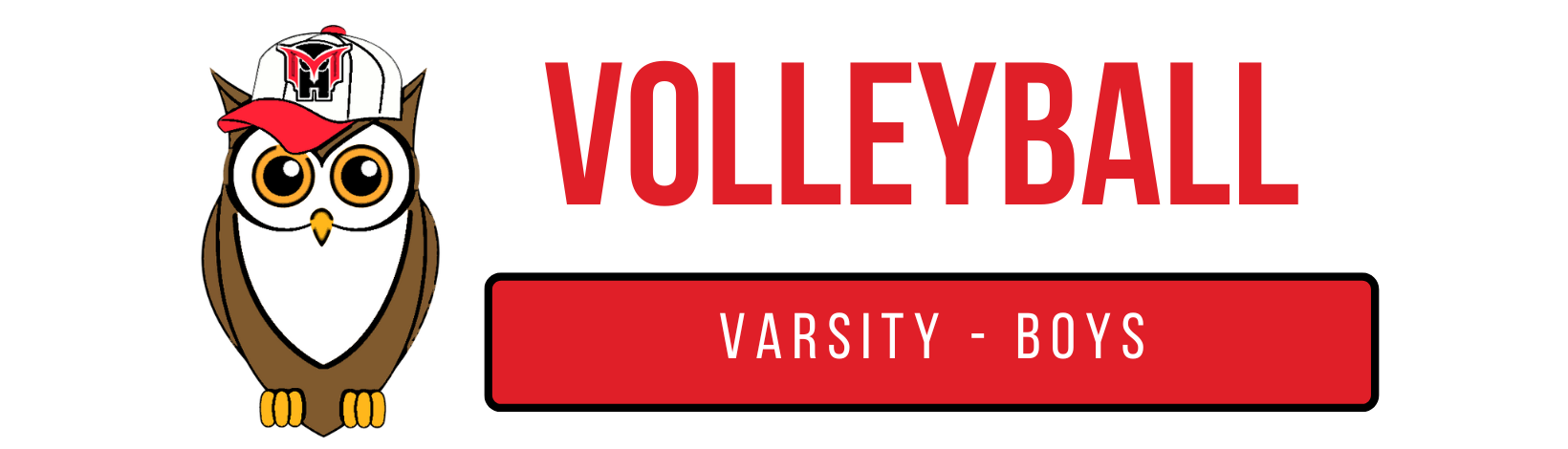 Title: Men's Volleyball