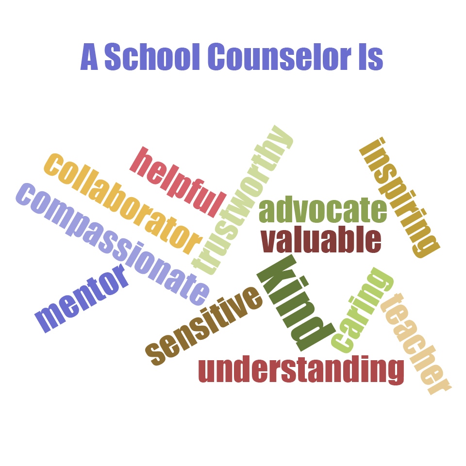 School Counselor