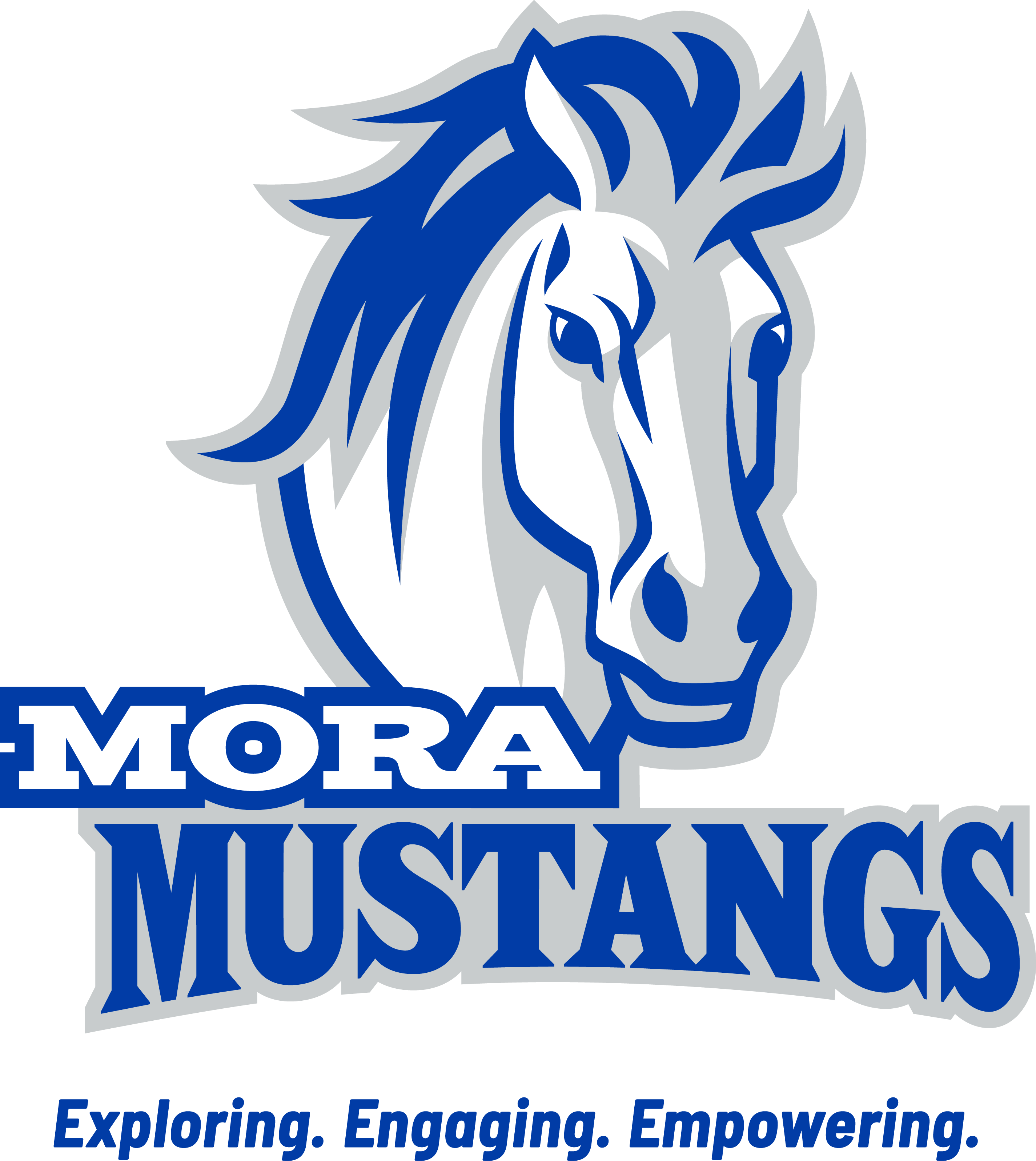 Mora Public School Official Logo