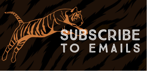 SubscribeEmail
