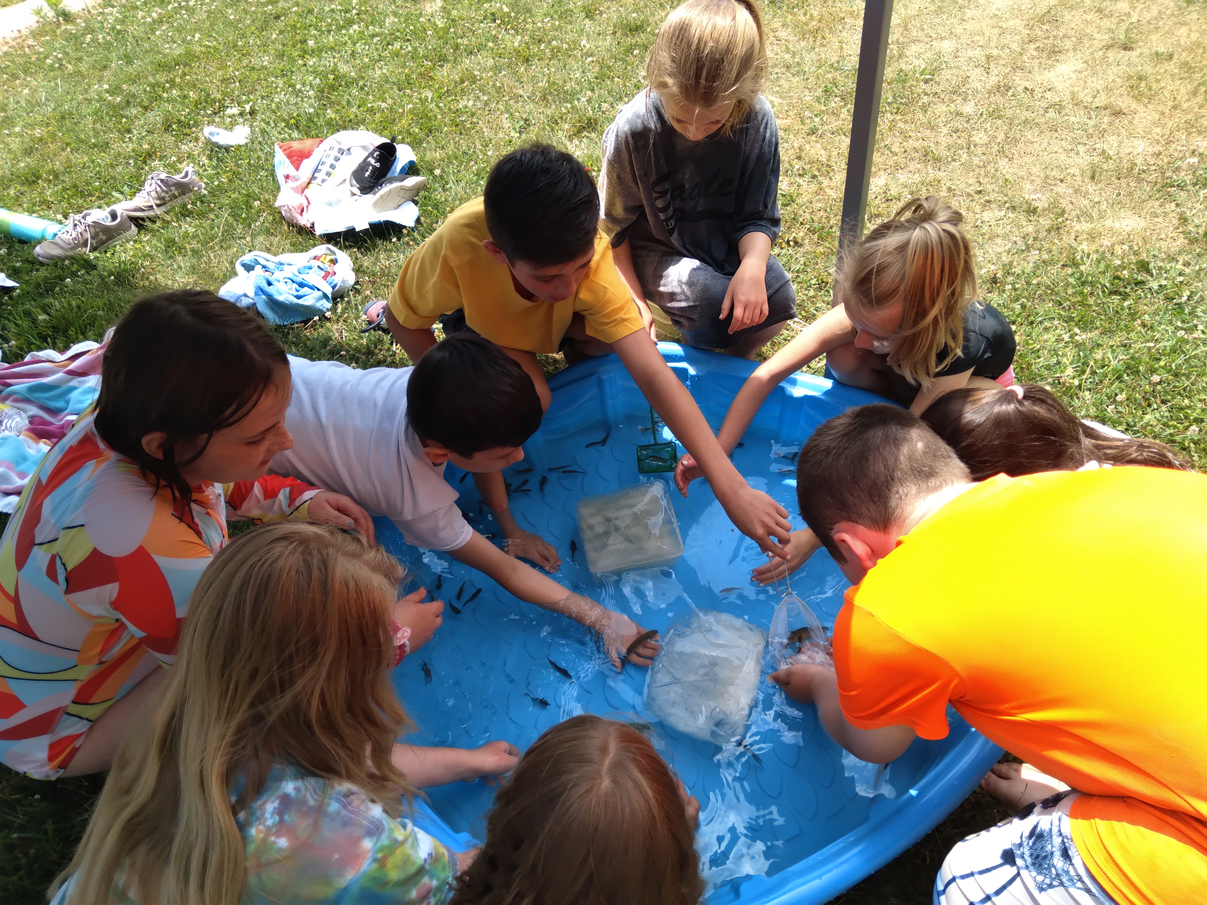 Water Day with the students  looking at goldfish in a pool