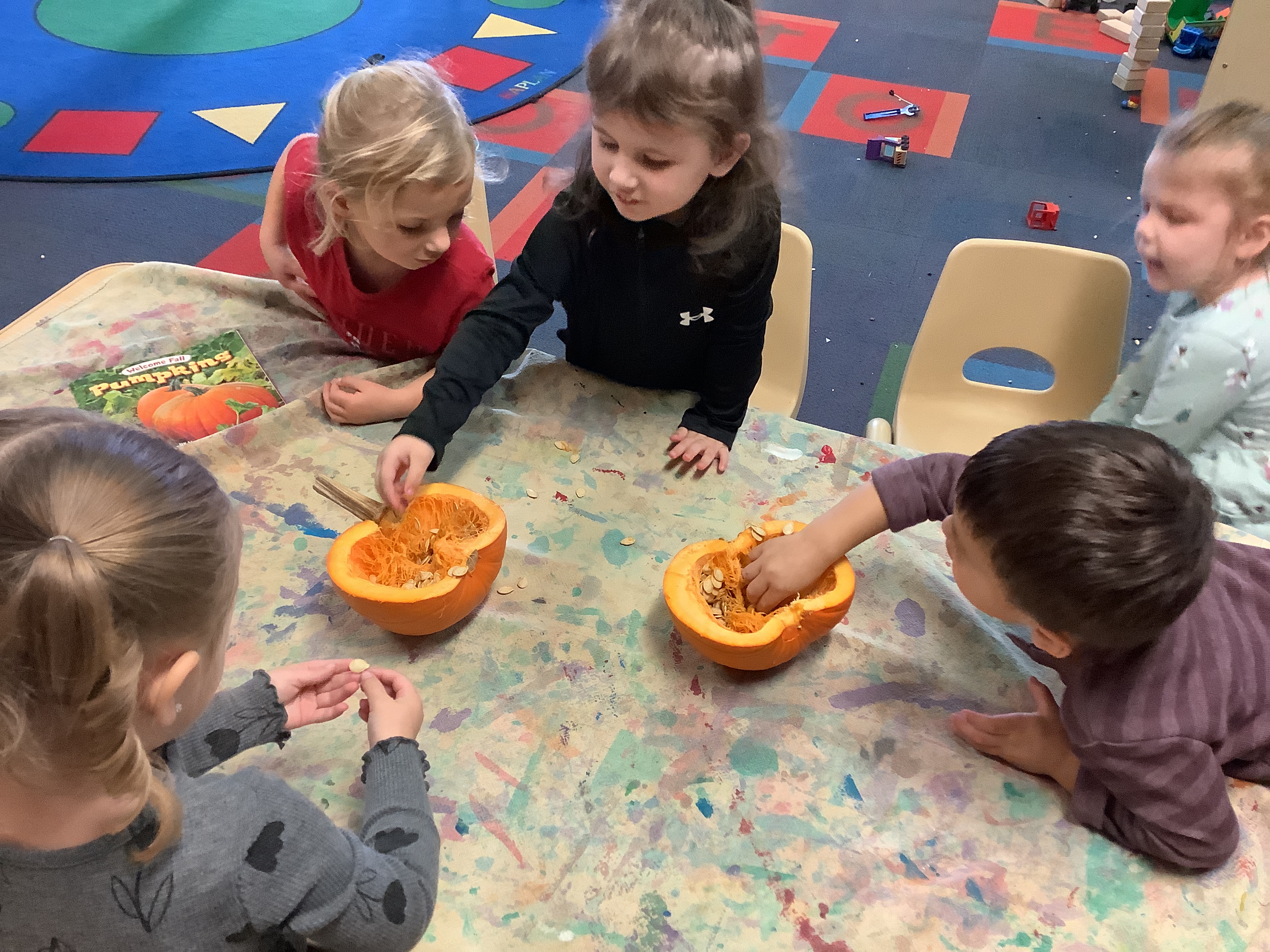 exploring a pumpkin