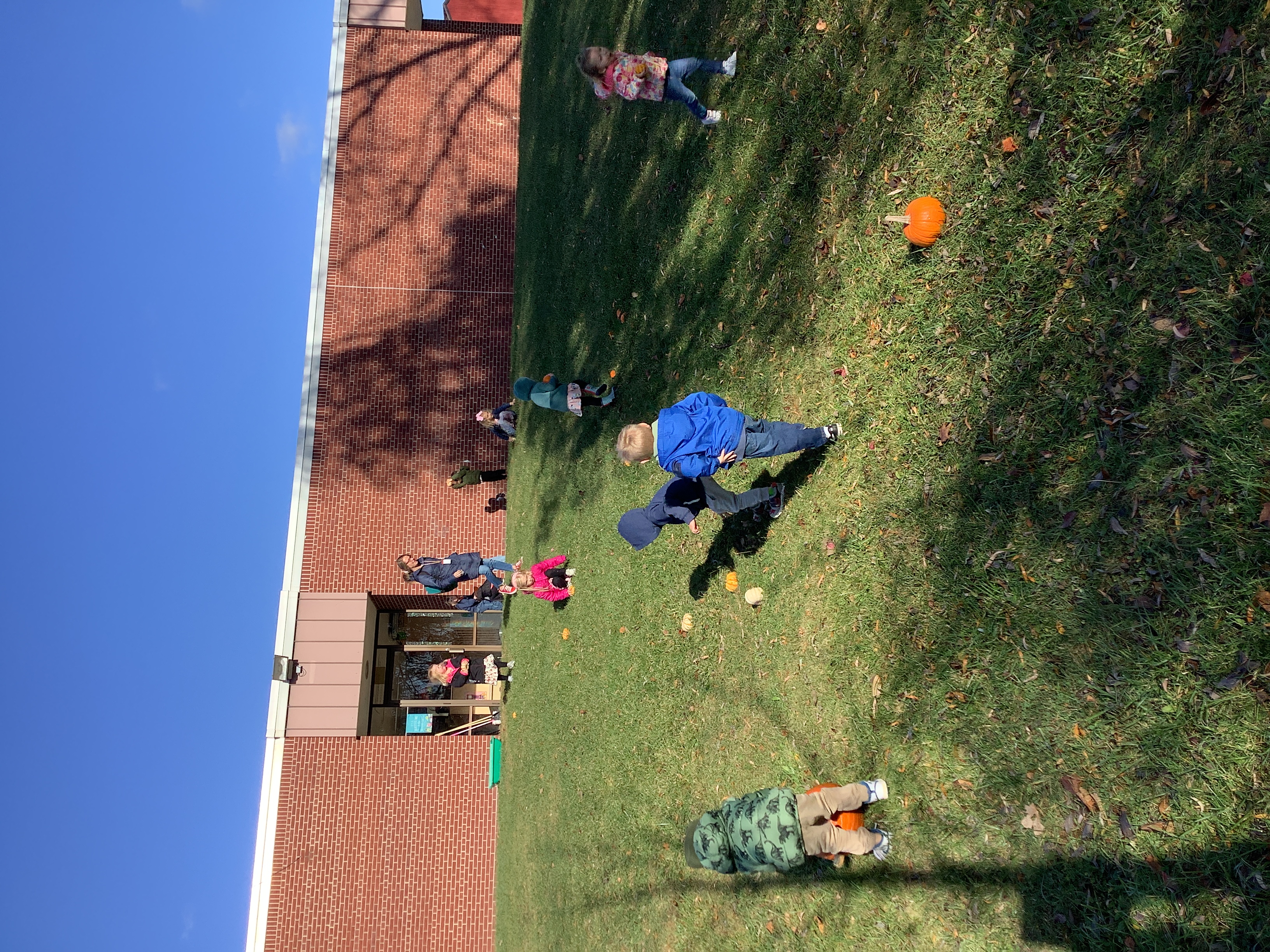 Do pumpkins roll down a hill? YES!