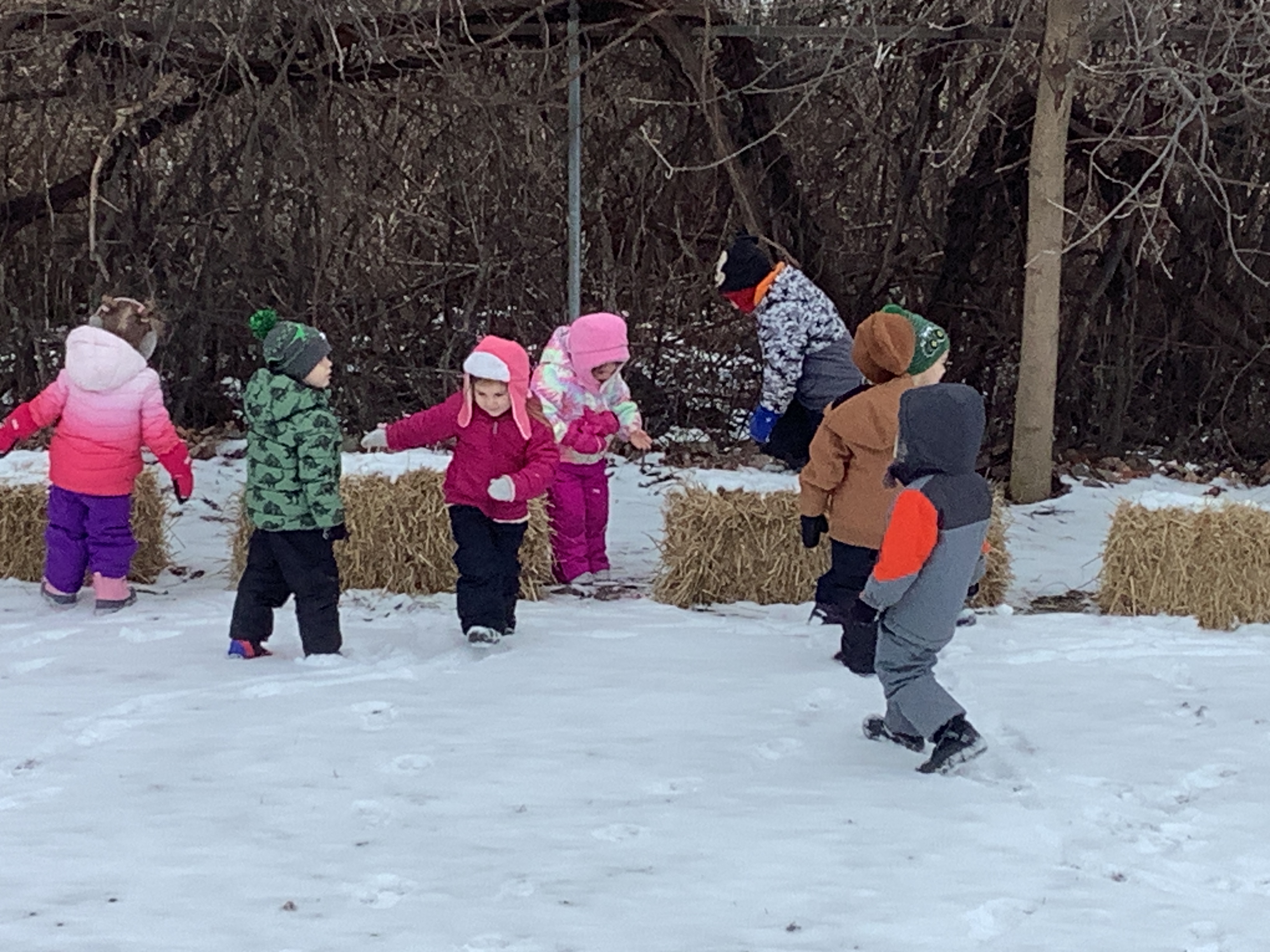 sledding 