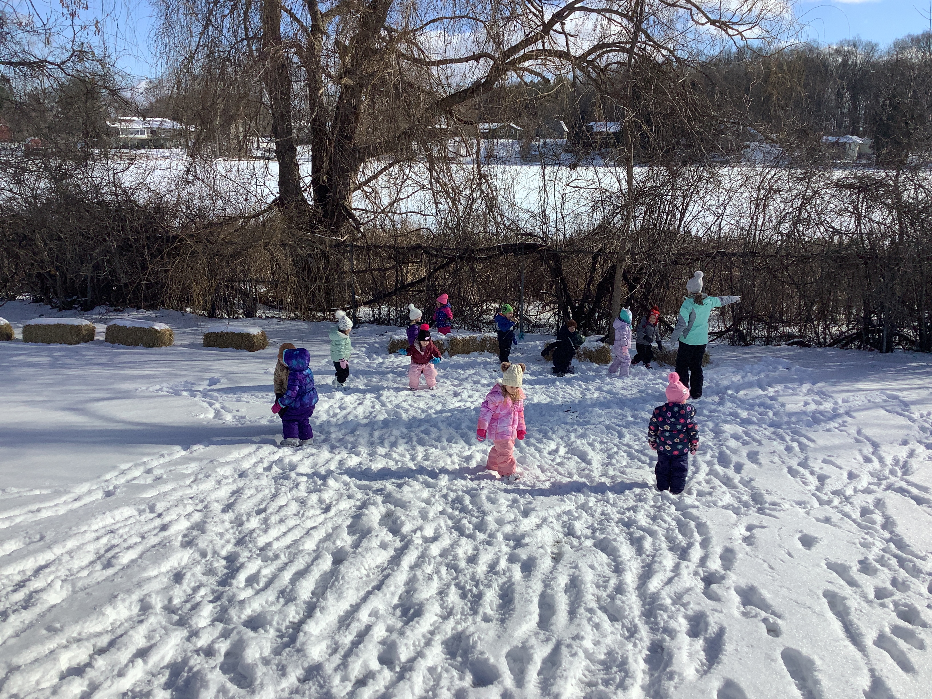 sledding