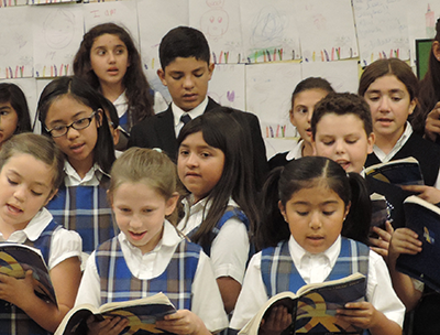 curriculum