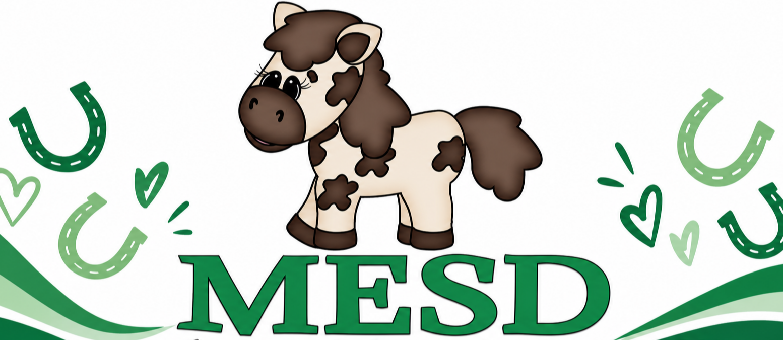Welcome to the MESD Early Childhood Center!