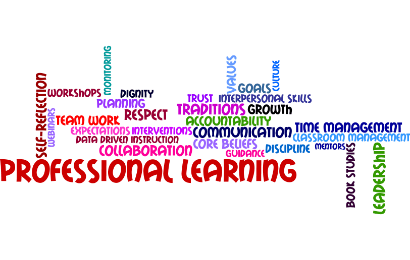 Professional Learning word cloud