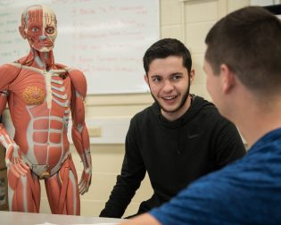 two students talk in front of biology model of human muscle system