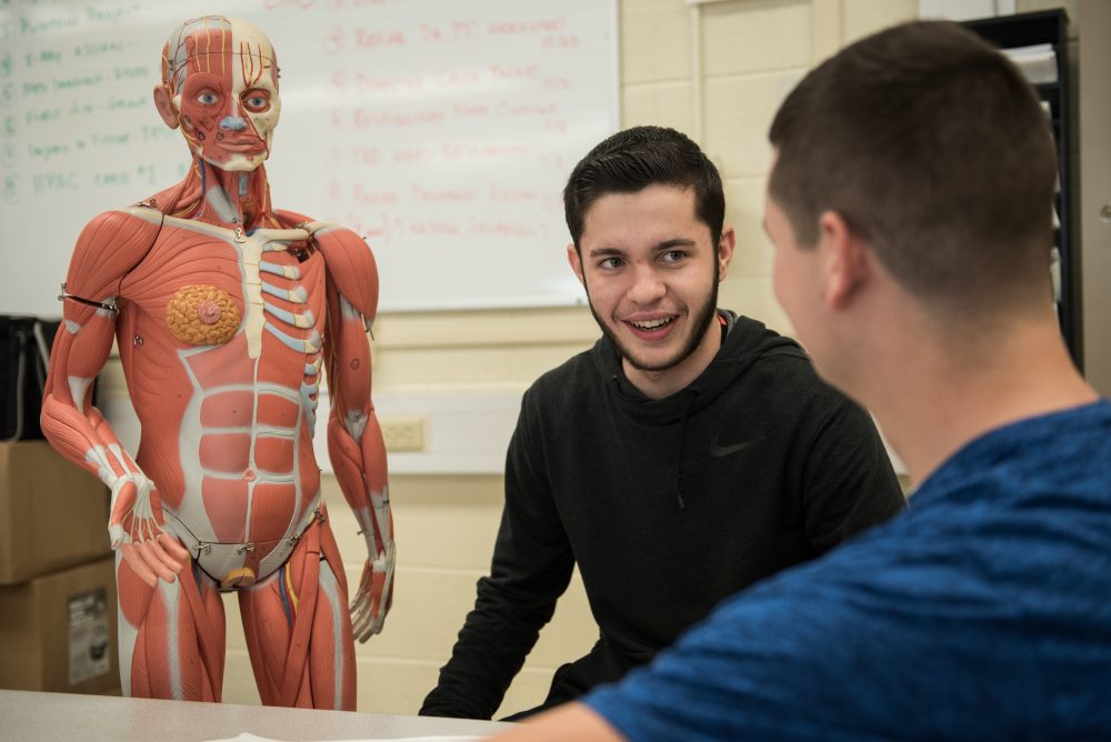 2 students chatting next to a model of the human body's muscles
