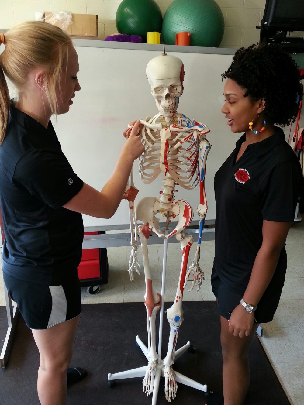 2 students looking at a skeleton model